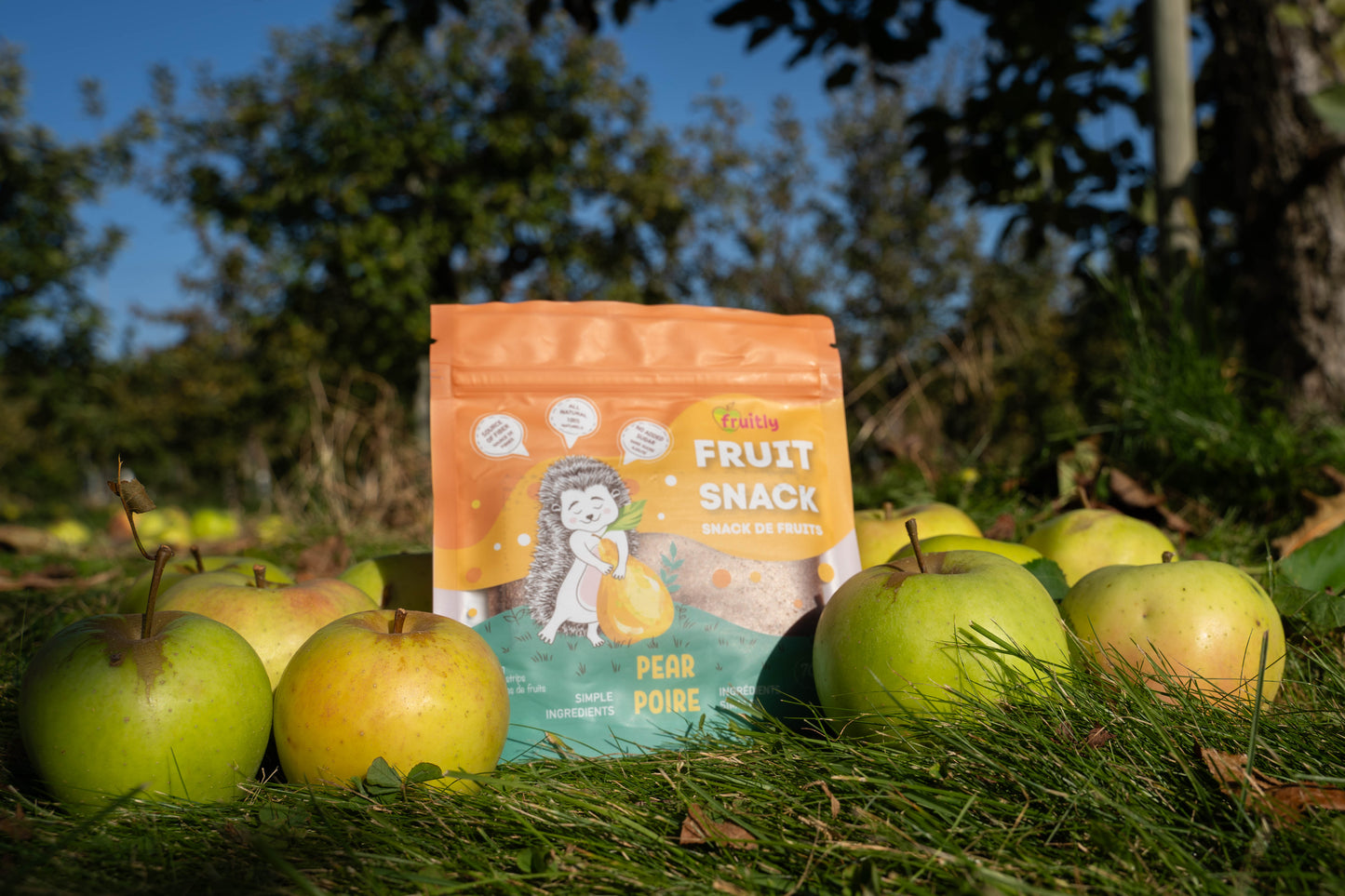 Pear Fruit Snack - Pouch